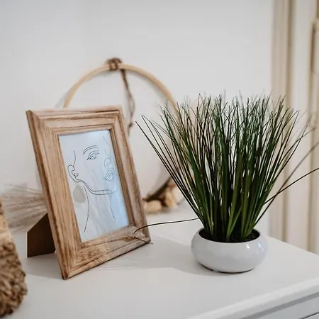 Ah Mlynská Apartman *